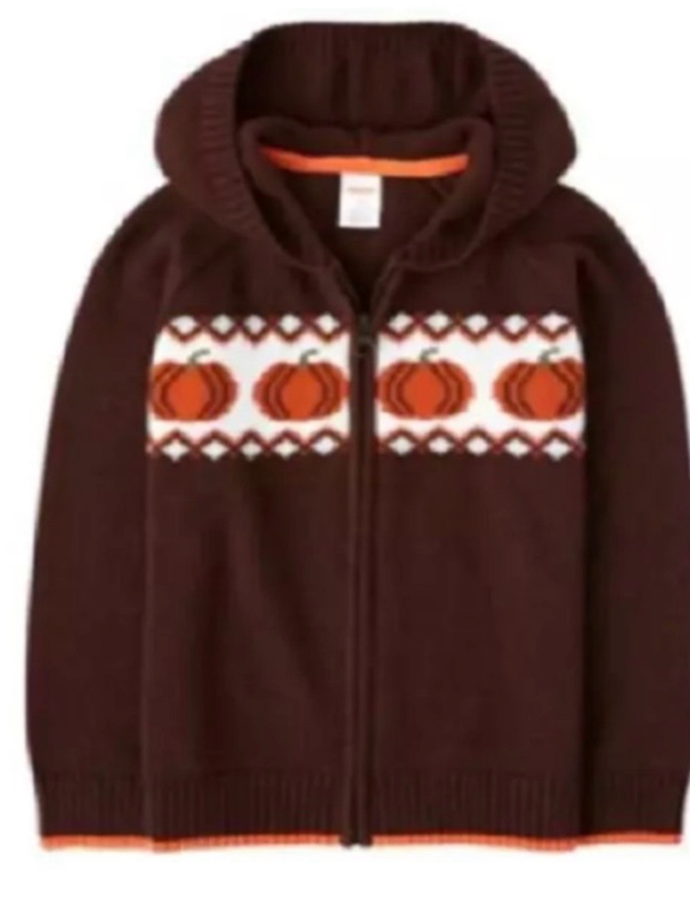 Gymboree Brown Hooded Zip-Up Sweater with Orange Pumpkin Band